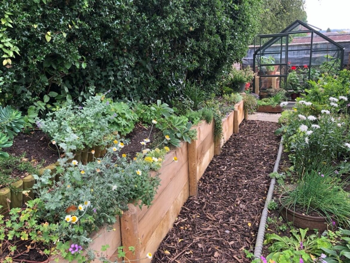“The changing climate is challenging traditional gardening methods,” the National Garden Scheme organisers say It is an interesting secret town garden on two levels behind a house