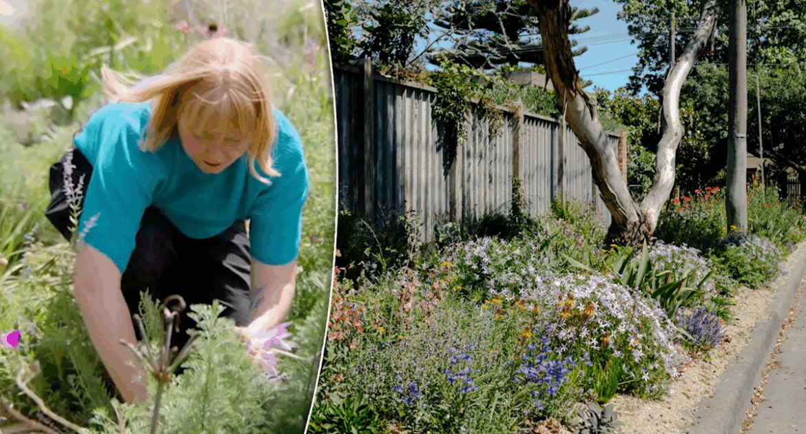 Council praised for 'brilliant' decision as tide turns on kerbside gardens in Aussie suburb