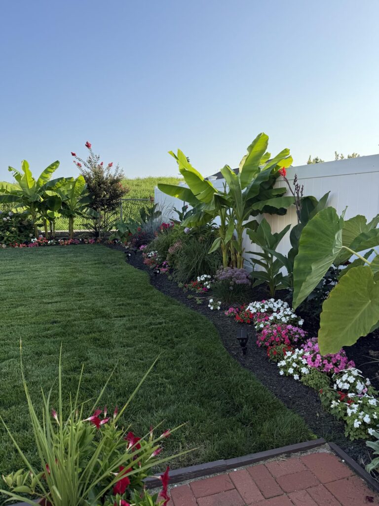 Jonathan Green seed is definitely my favorite and go-to Zone 7b New Jersey