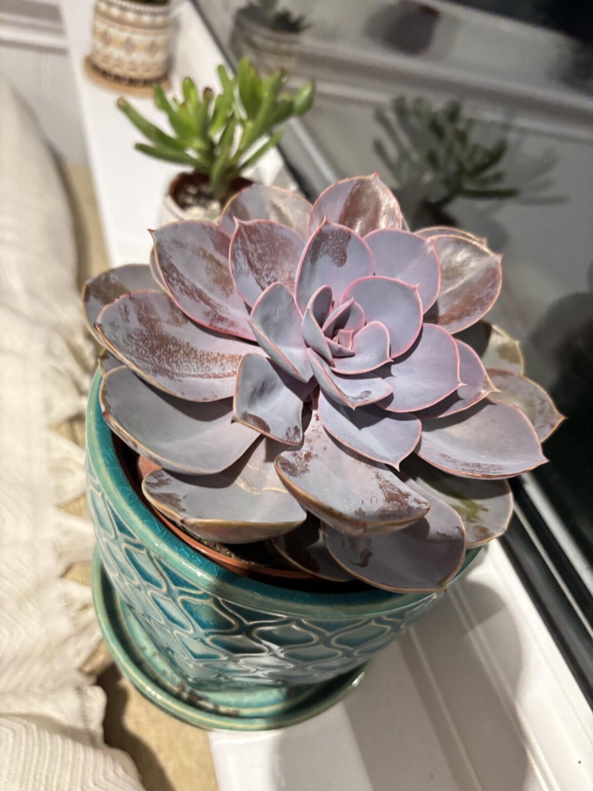 is this normal?