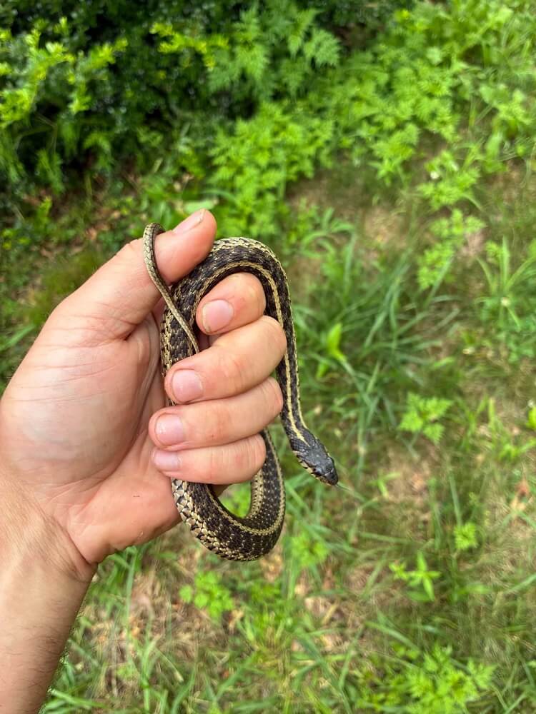 "Love the pics of the new residents."
