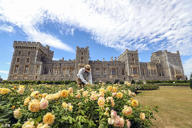 His Majesty's handiwork will eventually be visible to passengers flying in and out of Heathrow, which is just seven miles to the east of the royal residence. Pictured: Work on the garden in 2020