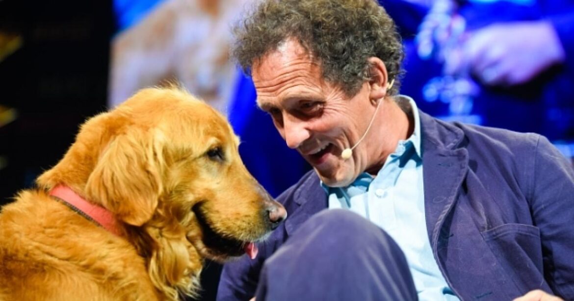 BBC Gardeners’ World Monty Don at RHS Chelsea Flower Show BBC Gardeners' World Monty Don at RHS Chelsea Flower Show