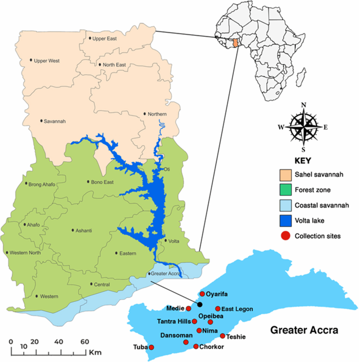 Urban malaria in Accra, Ghana: transmission risk and influence of irrigated vegetable farms | BMC Infectious Diseases