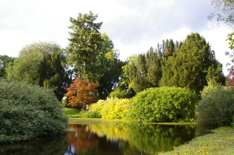 Regency House in Hemyock is open to the public as part of the National Gardens Scheme 2025