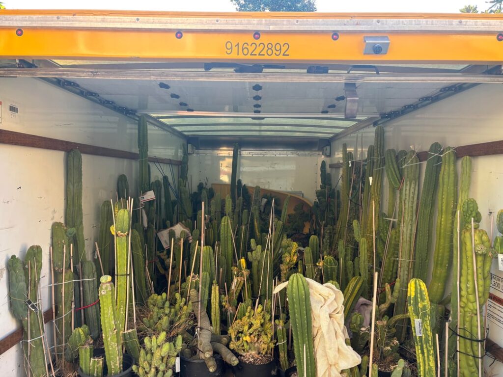 Anyone buy this many cacti in one day?😂