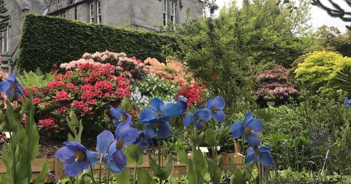 Discover Scotland's secret garden in a small Fife village