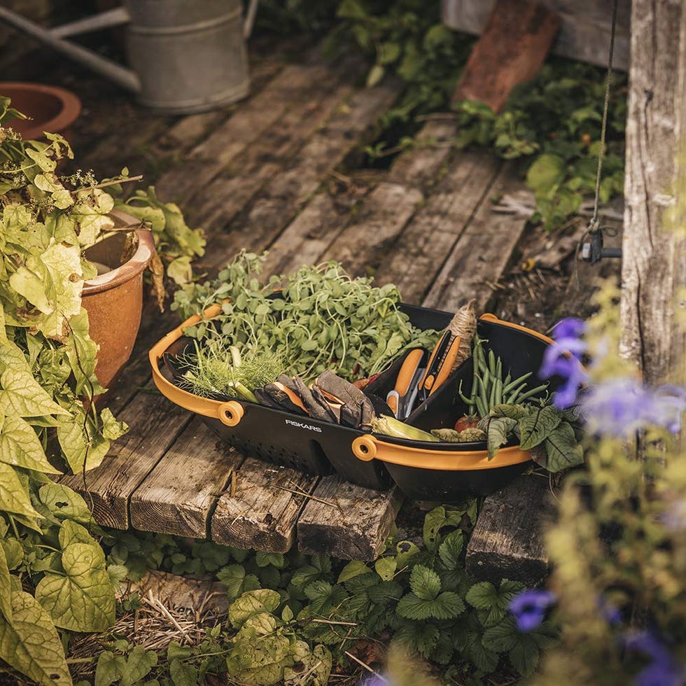 Garden Harvest Basket