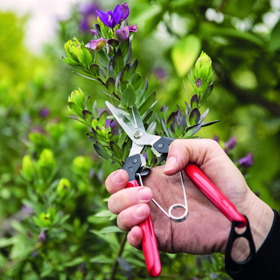 Model 322 Snips