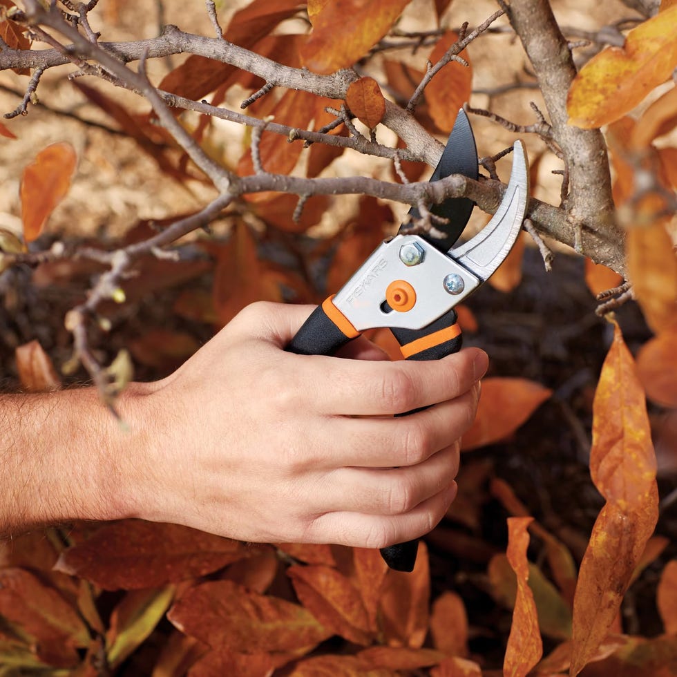 Bypass Pruning Shears