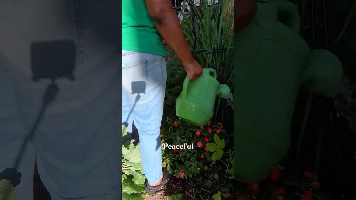 Watering a #Garden Is #Peaceful #MentalBreak #gardeningtips #mommoments #plantcare #containergarden Watering a #Garden Is #Peaceful #MentalBreak #gardeningtips #mommoments #plantcare #containergarden