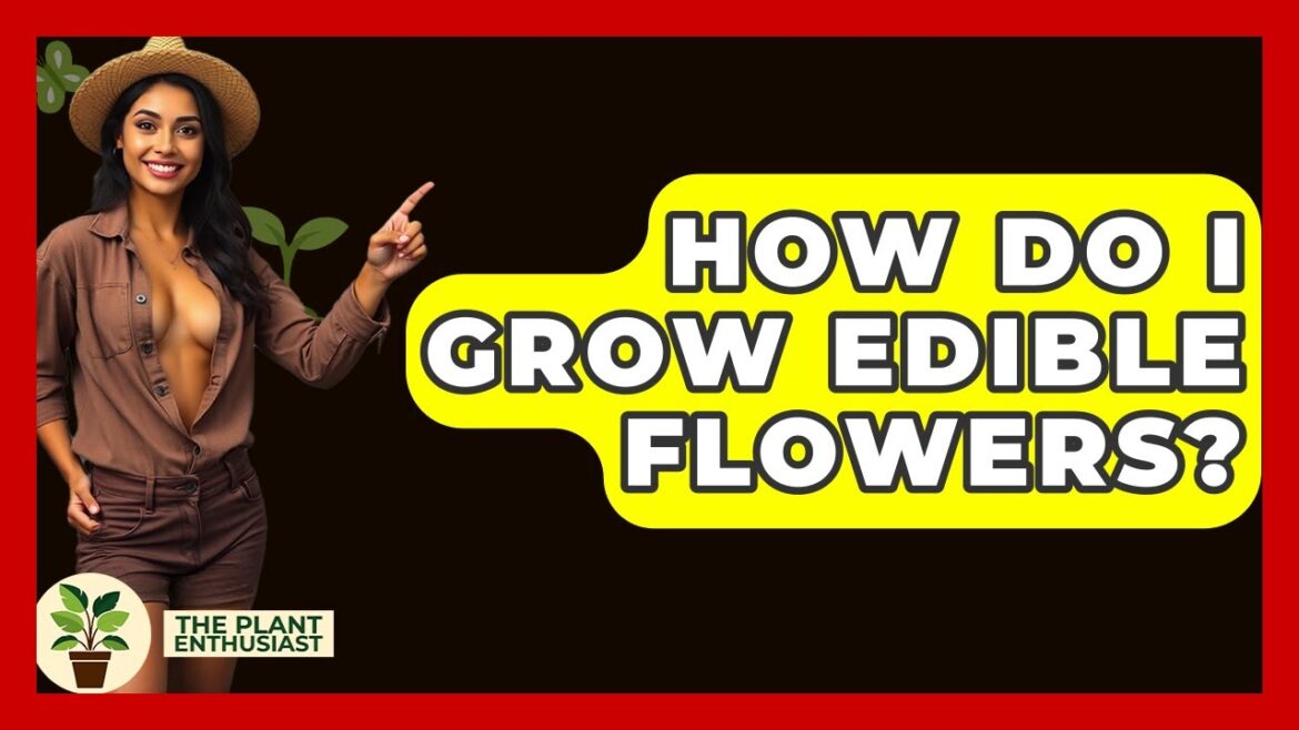 How Do I Grow Edible Flowers? - The Plant Enthusiast