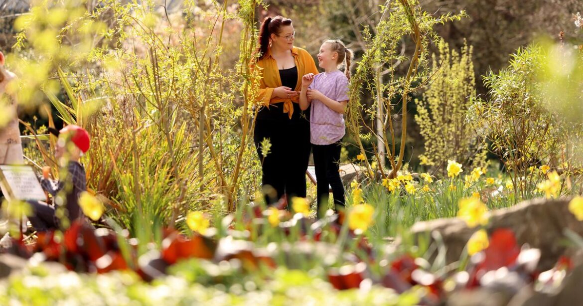 Fairytale park with a ‘hidden gem’ coffee shop now serving pizza near Newcastle Ipso logo