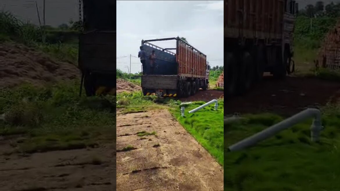 Garden supplies 6300617144.. Watsapp.no..8790175212