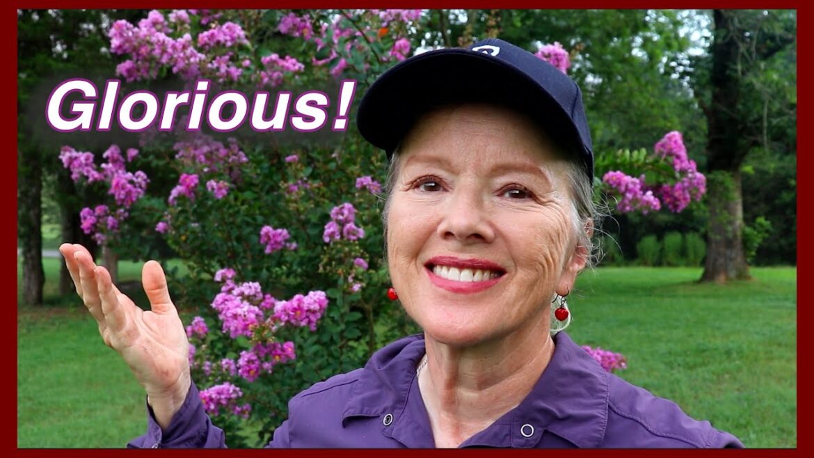 Kaye Kittrell: From Goosegrass to Butterflies, End of July Garden Update – Part 2 From Goosegrass to Butterflies, End of July Garden Update - Part 2