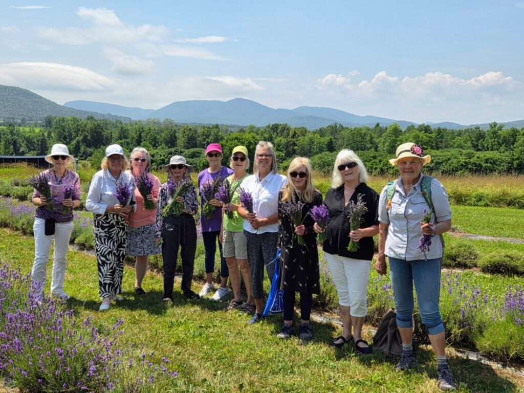 GARDEN CLUB NEWS: From lavender farm to fashion show | News, Sports, Jobs