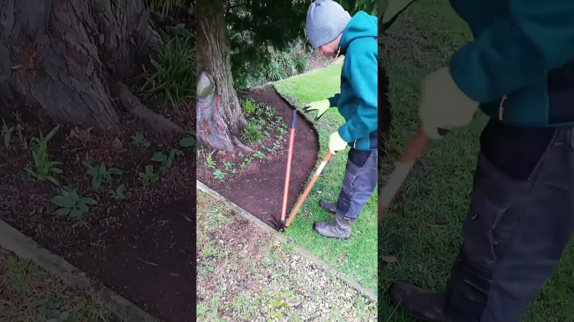 Satisfying Clean-Up You NEED to See THIS! #america  #backyard  #backyardgardening  #garden