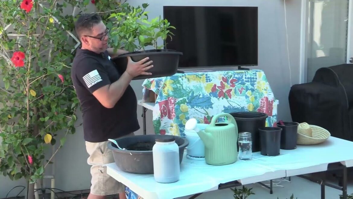 Growing in Pots: Easy Tips for Container Gardening Growing in Pots: Easy Tips for Container Gardening