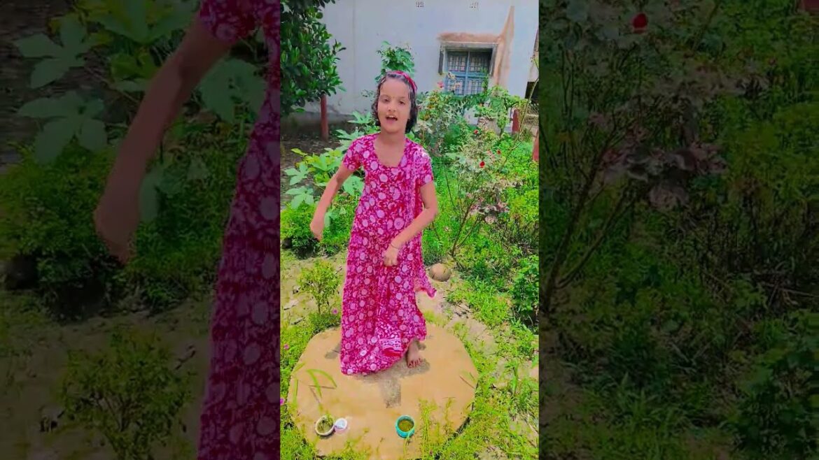 Nache le nache le #gardening #youtubeshorts #UpdateGardening #garden #youtubeshort #flowers #rose