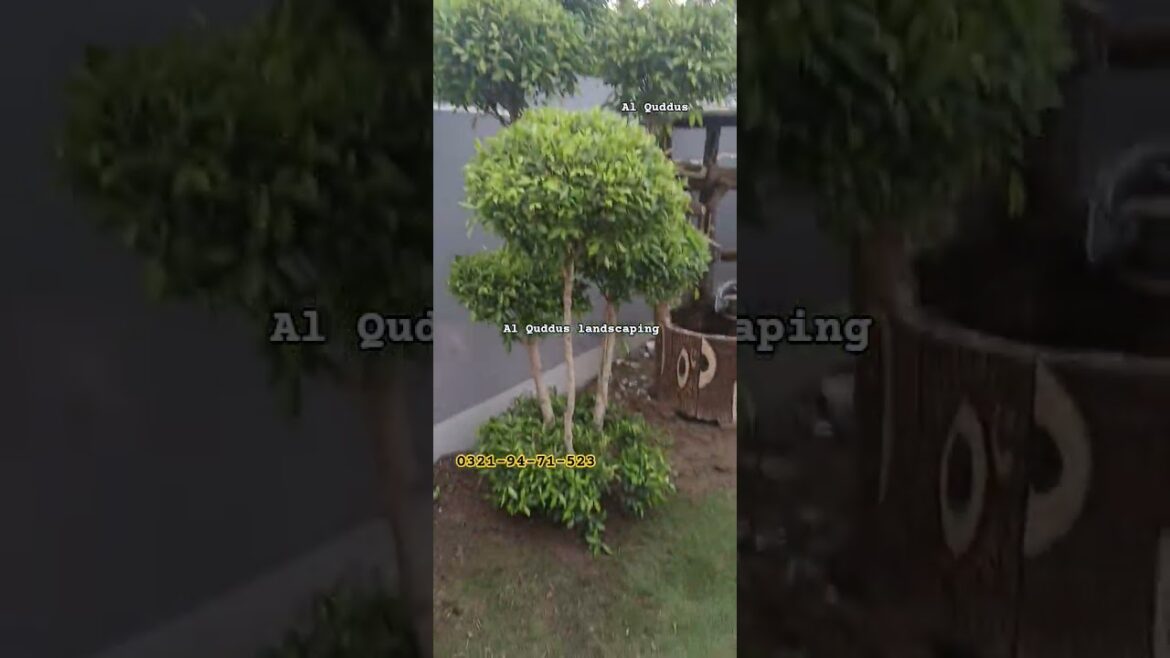 #gardendesign #garden #landscape #landscaping 0321.94-71-523 #Garden #landscape #landscaping #viral