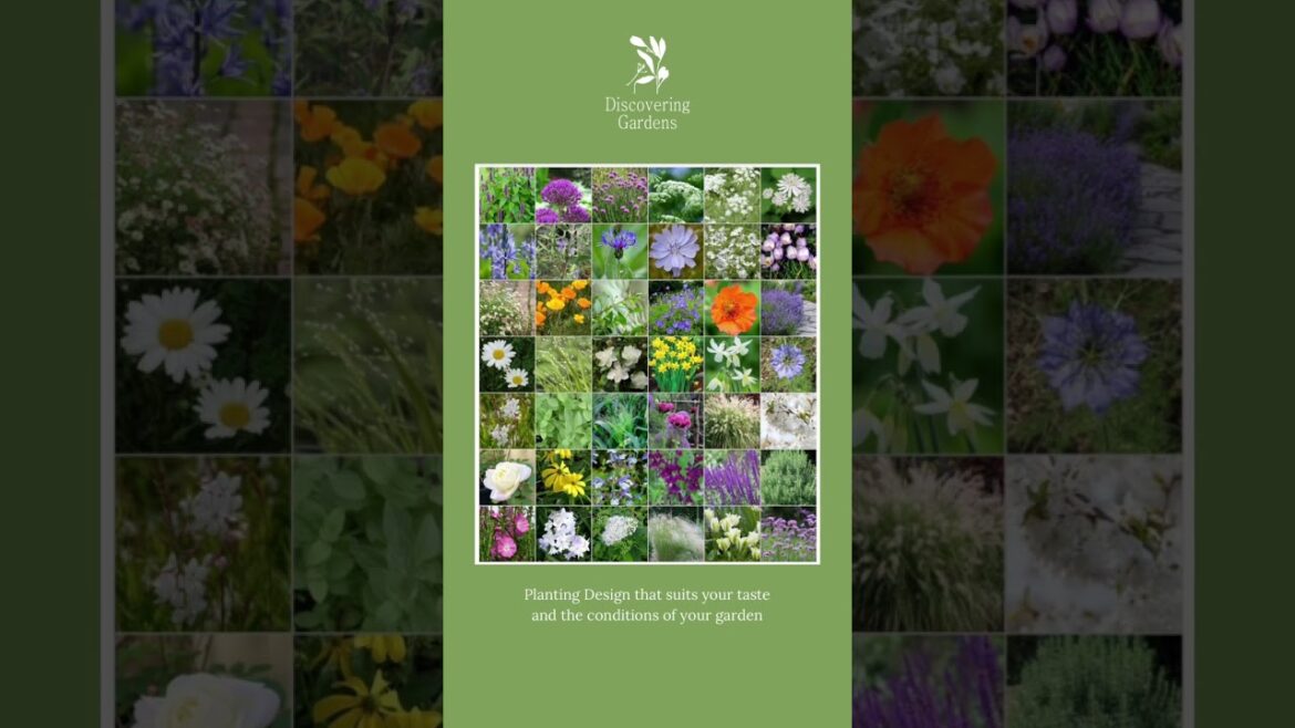 Planting design that suits your taste and the conditions of your garden 🌿 Planting design that suits your taste and the conditions of your garden 🌿