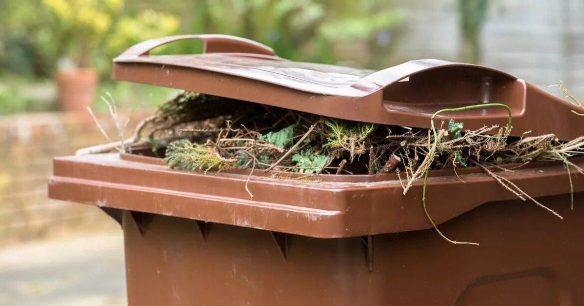 Gardeners risk £400 fine for putting one item in their bins during August Ipso logo