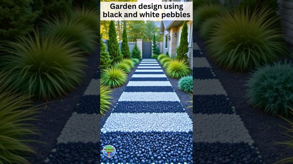 Expert Shares SECRET to Stunning Low Maintenance Garden Design with Black and White Pebbles Expert Shares SECRET to Stunning Low Maintenance Garden Design with Black and White Pebbles