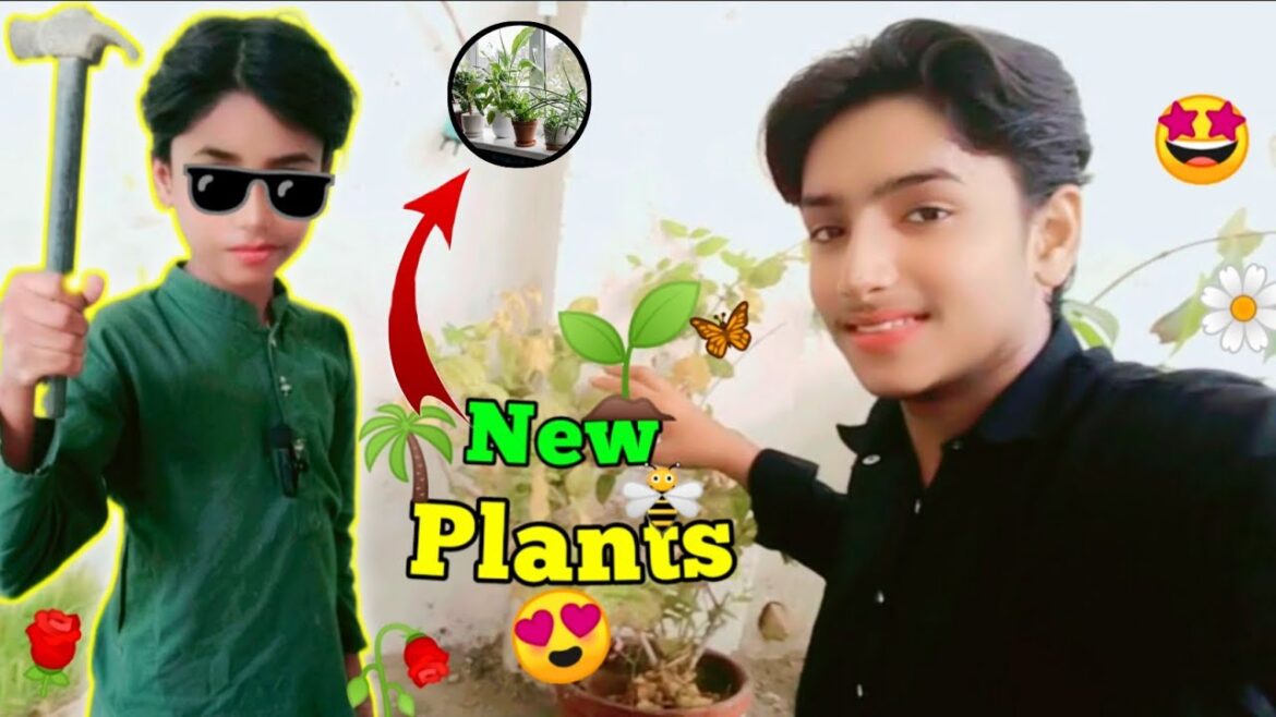 New Plants Lagae Hain ЁЯМ▒ New Plants Lagae Hain ЁЯМ▒