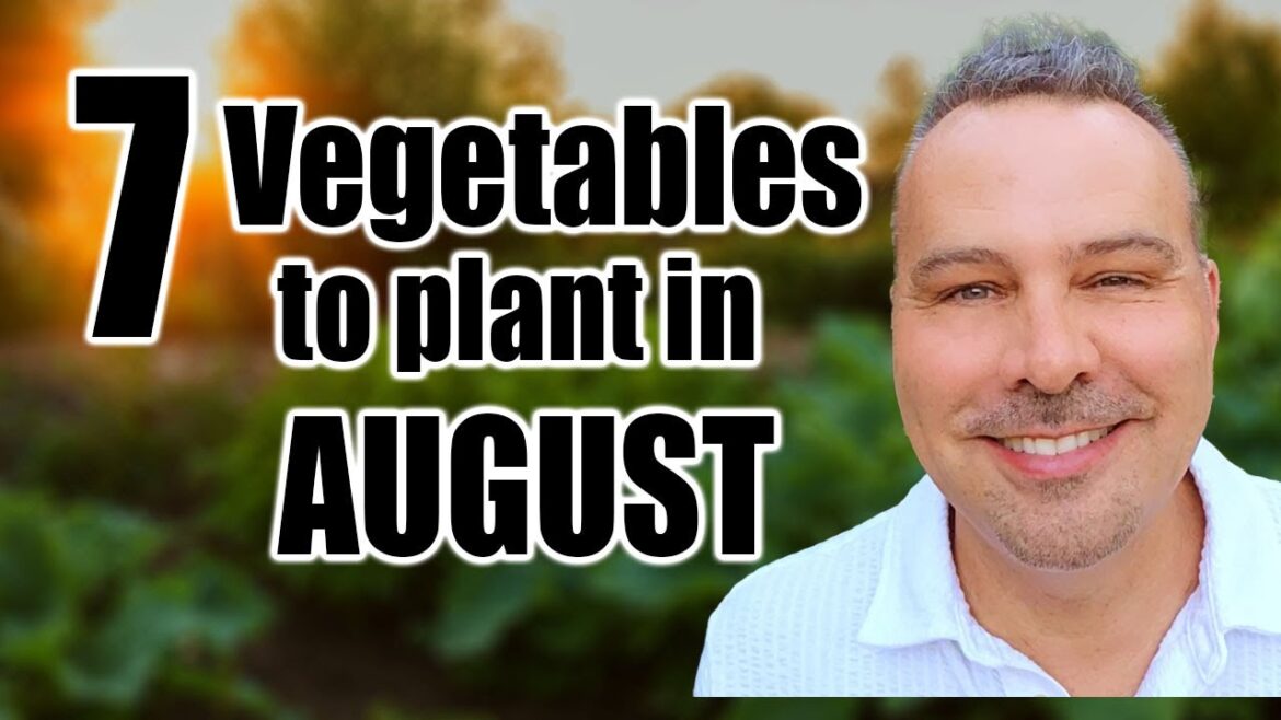 7 Crops to Direct Sow in August, Wherever You Live!