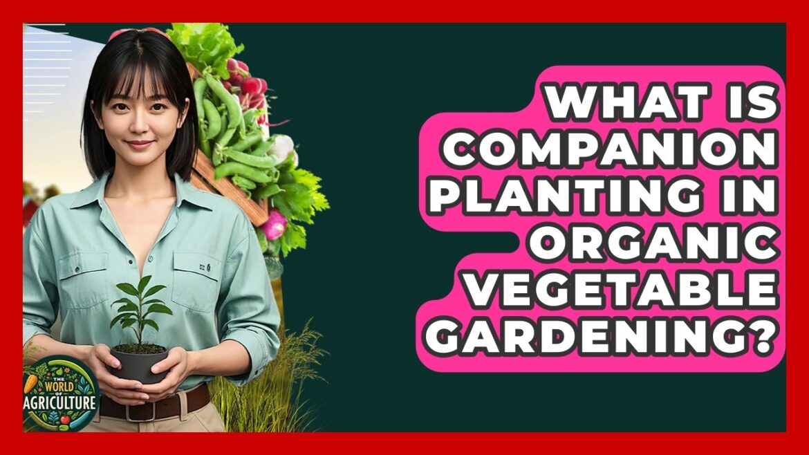What Is Companion Planting In Organic Vegetable Gardening? – The World of Agriculture What Is Companion Planting In Organic Vegetable Gardening? - The World of Agriculture