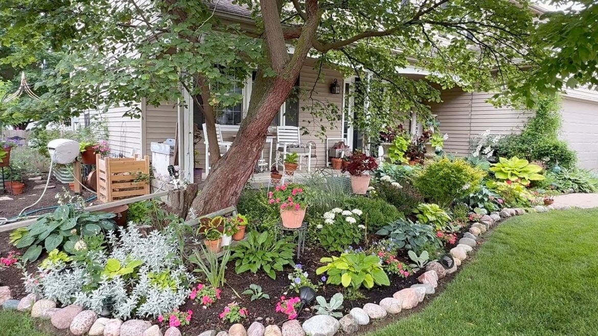 Top Seven Tips to Set Your Garden Apart!! With Mya @simplybloom Top Seven Tips to Set Your Garden Apart!! With Mya @simplybloom