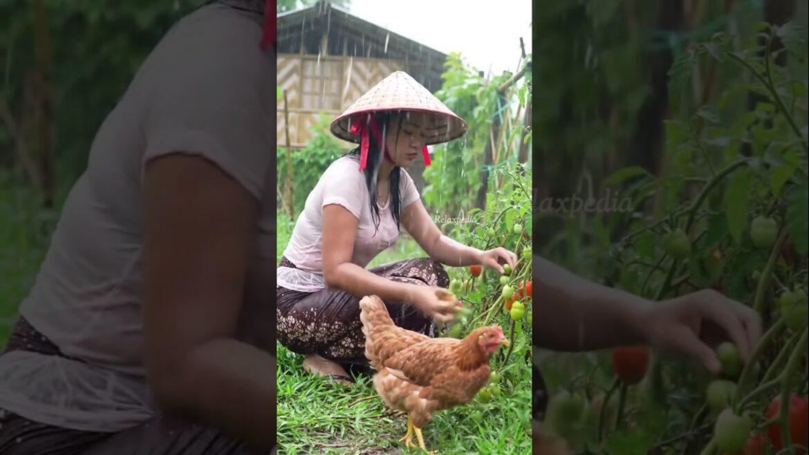 Heavy Rain in the Front Garden of the House |Relaxing Sound of Thunderstorms #shorts #rain #relaxing