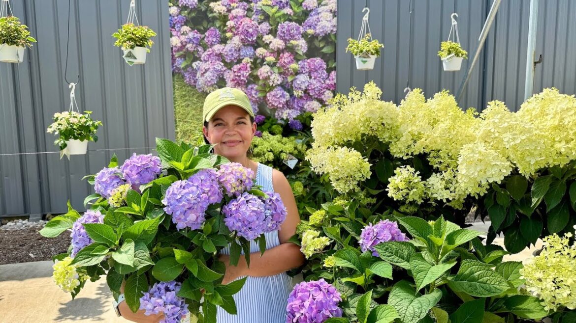 Visiting the Home to Proven Winners Color Choice Shrubs Visiting the Home to Proven Winners Color Choice Shrubs