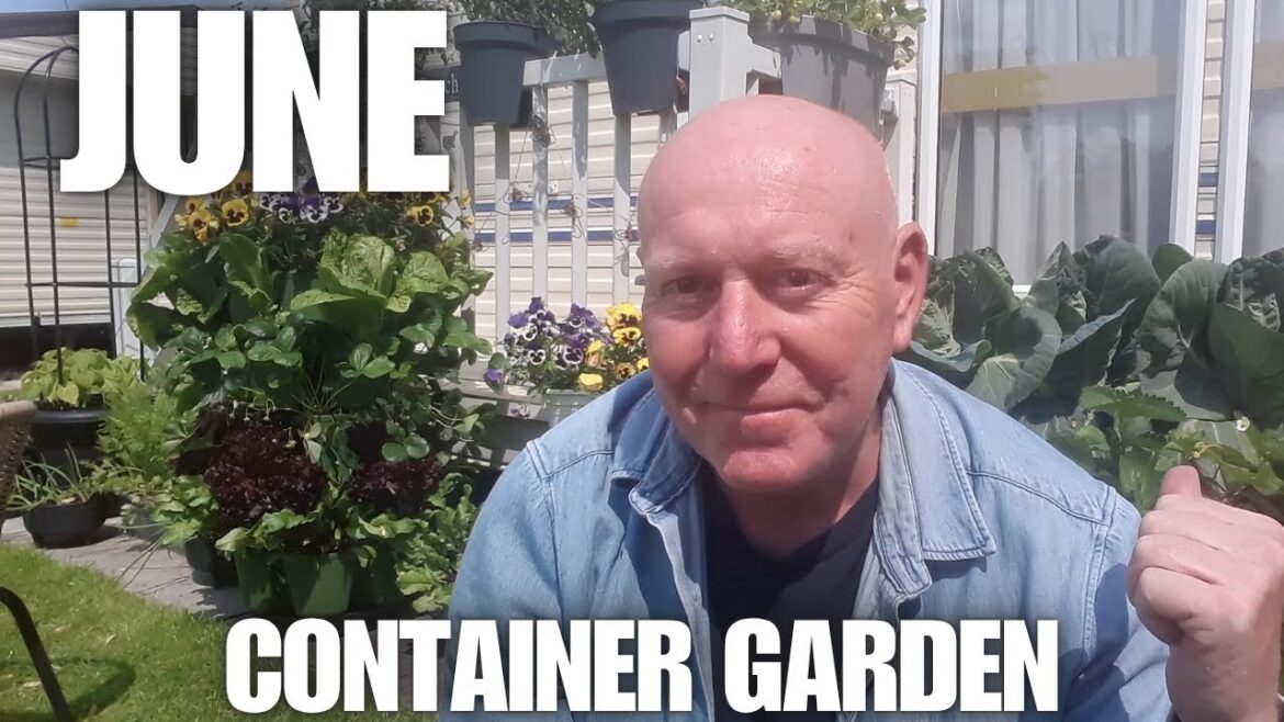 June Vegetable Container  Garden [Container Gardening ]