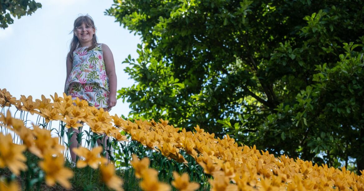 Every year a little girl buys a flower to remember her dad Ipso logo