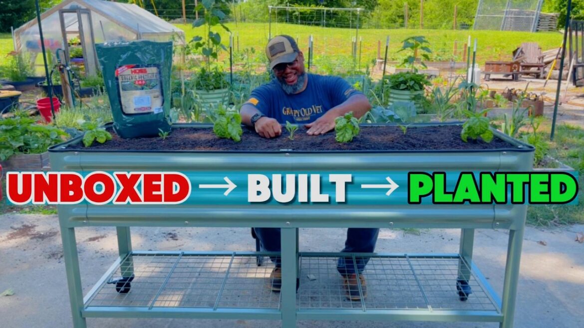 I Built This Raised Bed to Reduce Back Pain!