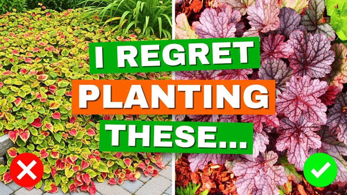 7 Plants Gardeners Regret Planting (and Why You Might Too…) π± 7 Plants Gardeners Regret Planting (and Why You Might Too...) π±