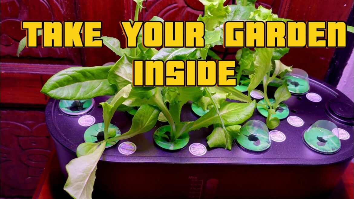 TOO HOT FOR VEGETABLE GARDENING? TRY THE AHOPE INDOOR GARDEN SYSTEN