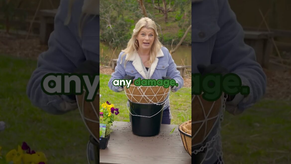 Growing Your Own Tiny Salad Garden ! #GreatHomeIdeas #Gardening #Tips #Shorts