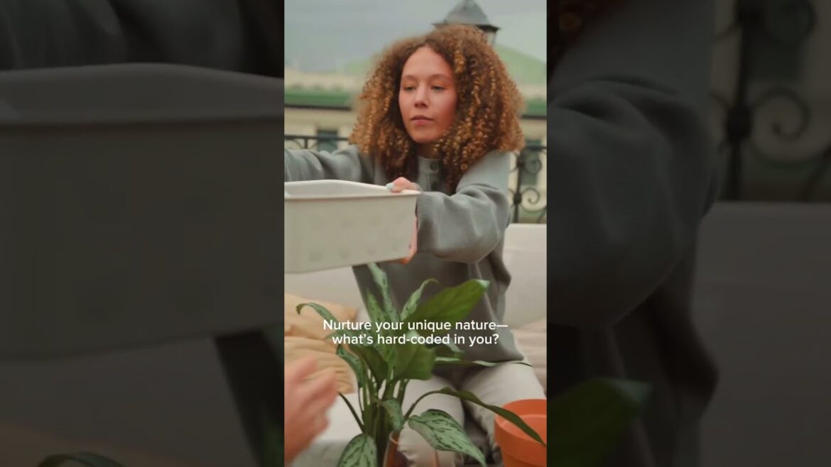 Celebrating Summer Solstice at Gardener's Supply