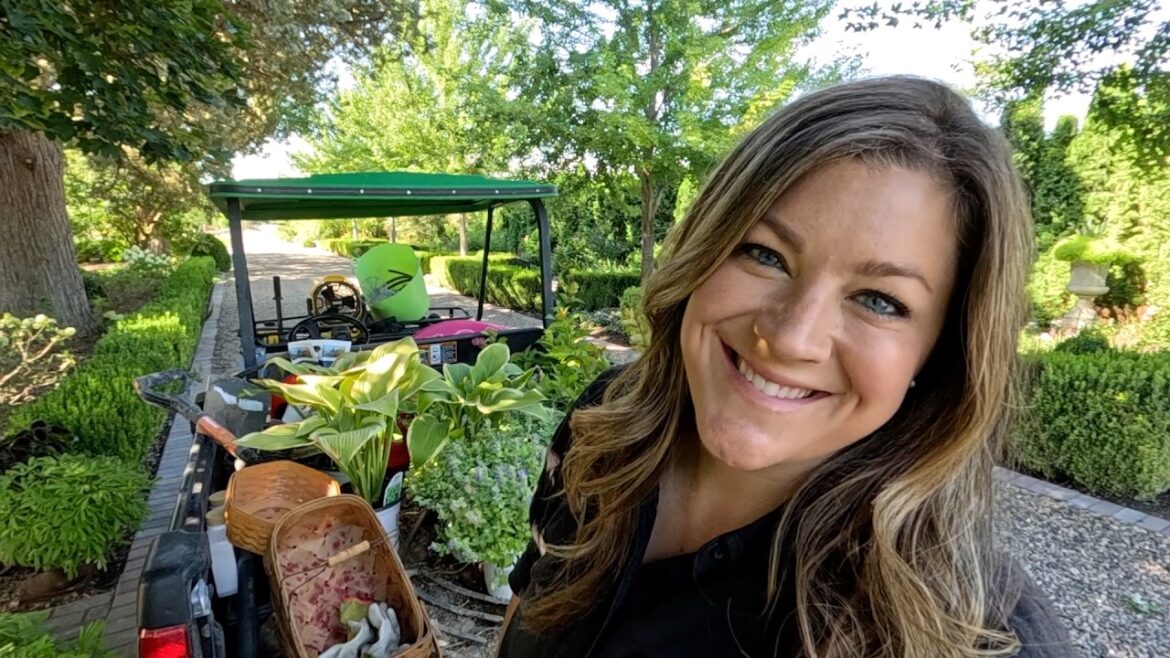 Garden Answer: Planting New Plants for ‘25/‘26 & Harvesting Blackberries! 🌿💜🌿 // Garden Answer Planting New Plants for ‘25/‘26 & Harvesting Blackberries! 🌿💜🌿 // Garden Answer