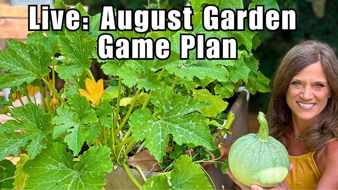 CaliKim: LIVE: August Garden Game Plan – Plant Now, Harvest Big! LIVE: August Garden Game Plan – Plant Now, Harvest Big!