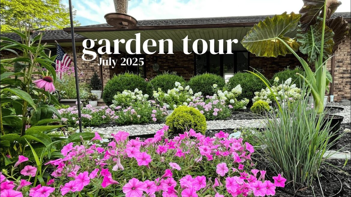 July Garden Tour || Front Yard 🍃☀️💦