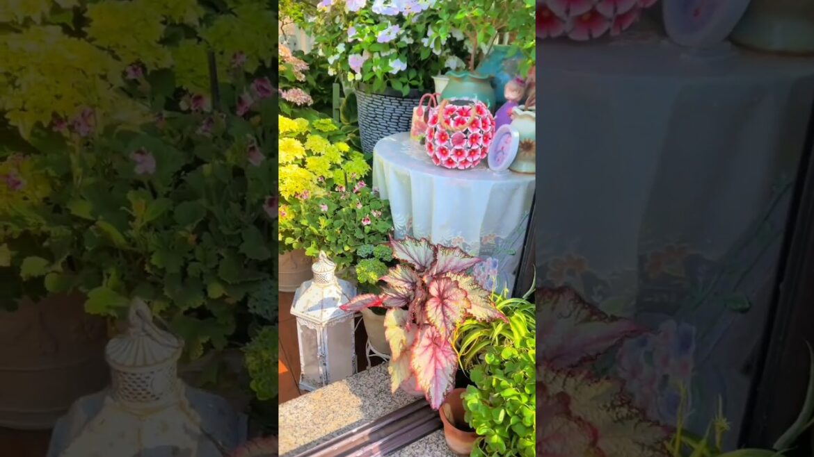 Diy Home Garden Decor Inspiration 🌺🌴#homedecor #gardening #satisfying #plants #naturephotography