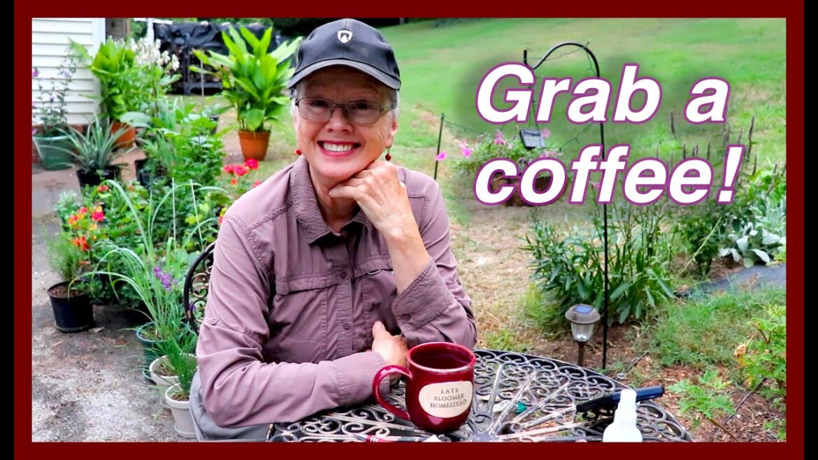 Kaye Kittrell: What does the future for farming look like, and other thoughts What does the future for farming look like, and other thoughts