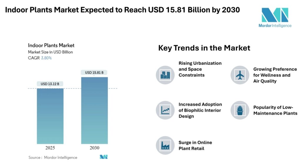 Indoor Plants Market to Reach USD 15.81 Billion by 2030, Driven by Growing Urban Gardening and Biophilic Design Trends – Mordor Intelligence