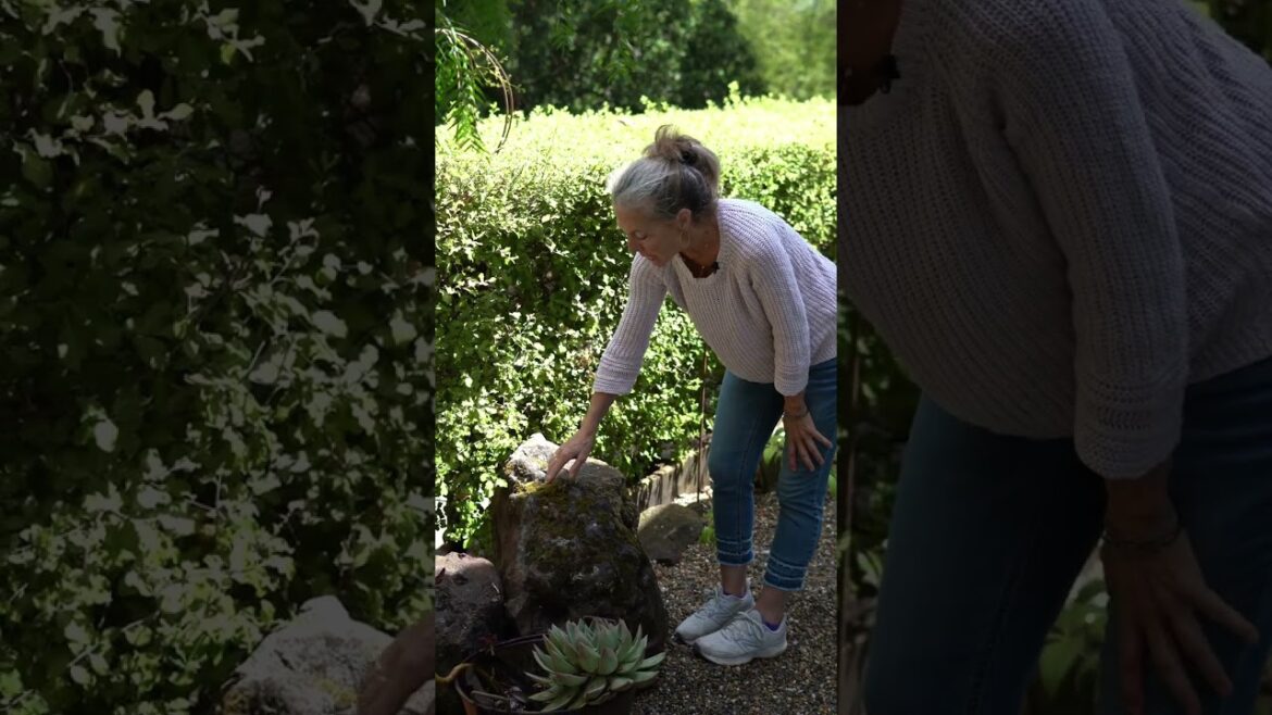 Garden Transitions Without Plants??? #gardendesign #gardenstyle #cottagegarden 💚 Garden Transitions Without Plants??? #gardendesign #gardenstyle #cottagegarden 💚