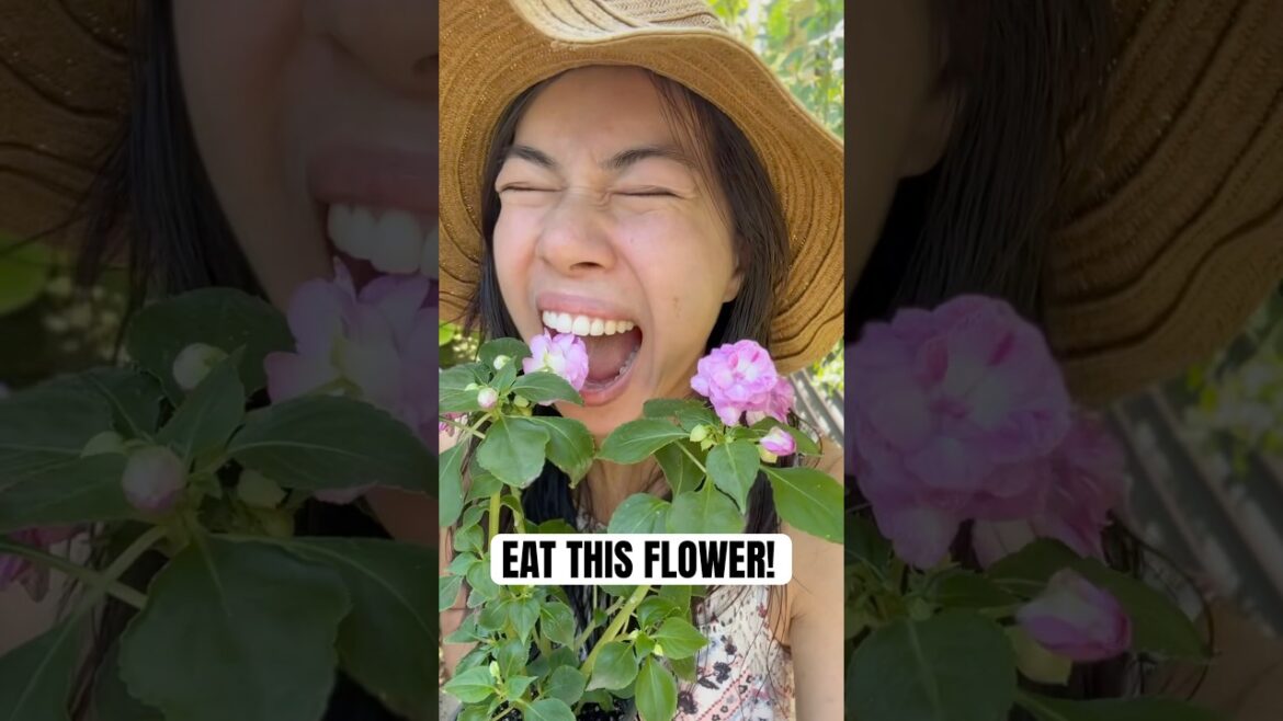 Surprising Edible Plant for Shady Gardens!