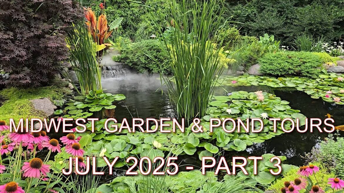 Midwest Pond and Garden Tours Part 3 July 2025 Midwest Pond and Garden Tours Part 3 July 2025