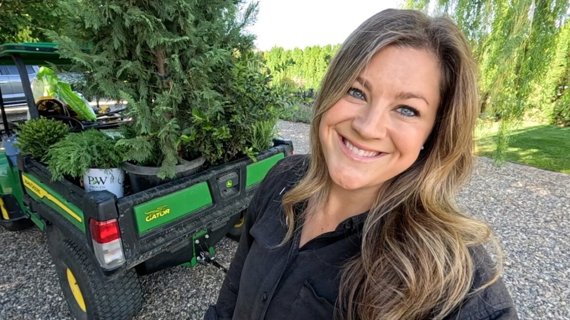 Garden Answer: Planting a Bunch of Evergreens, Cotoneaster & an Ornamental Grass! 🌲🌿🌾 // Garden Answer Planting a Bunch of Evergreens, Cotoneaster & an Ornamental Grass! 🌲🌿🌾 // Garden Answer